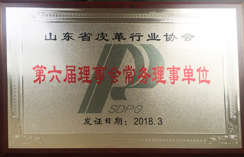皮革行業(yè)第六屆理事會(huì)常務(wù)理事單位